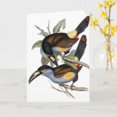 De bord-gefactureerde Toekan van de Berg Kaart (Gele Bloem)