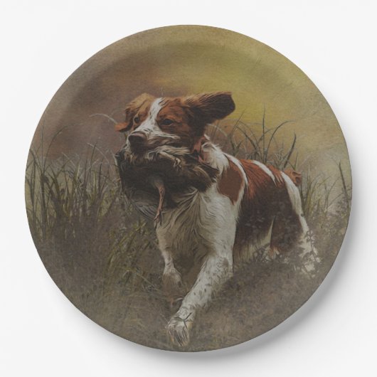 De Borden van het spaniel van Brittany Papieren Bordje (Voorkant)
