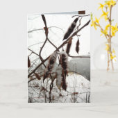 De Borstelige Sprinkhaan van de winter Kaart (Gele Bloem)