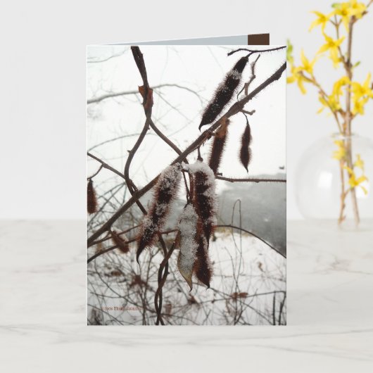 De Borstelige Sprinkhaan van de winter Kaart (Gele Bloem)