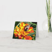 De bos Bij van de Kaart van de Nota (Voorkant)