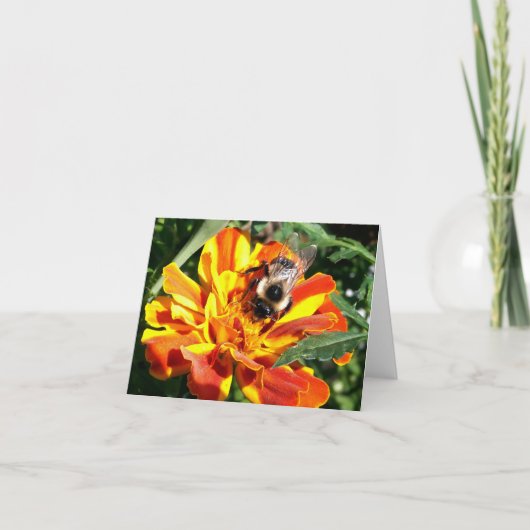 De bos Bij van de Kaart van de Nota (Voorkant)