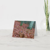 De bos Damhinde van de Kaart van de Nota een Hert (Voorkant)