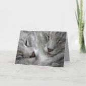 De bos kaart van de kattenverjaardag (Voorkant)