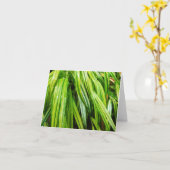 De bos Kaart van de Nota - Japans BosGras (Gele Bloem)