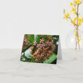 De bos Kaart Wildflower Milkweed van de Nota (Gele Bloem)