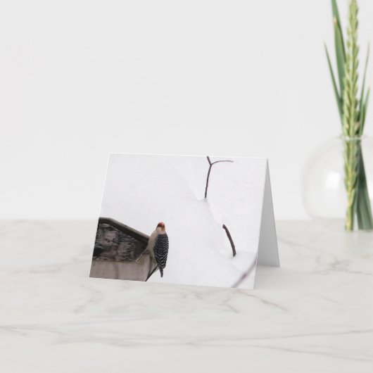 De bos Specht van de Kaart van de Nota (Voorkant)