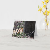 De bos Vossen van de Kaart van de Nota (Gele Bloem)