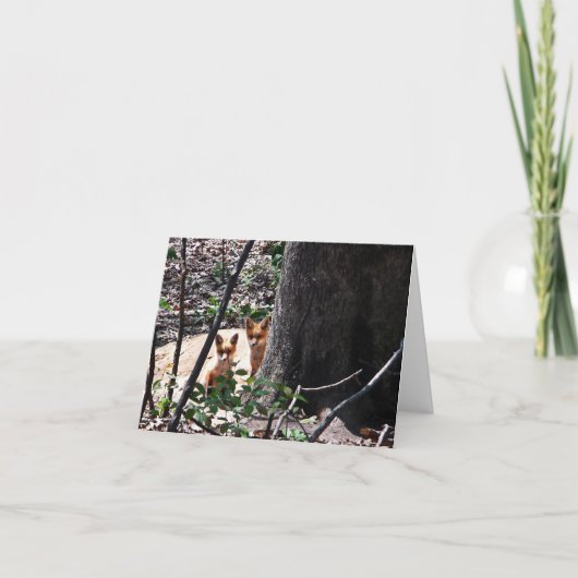 De bos Vossen van de Kaart van de Nota (Voorkant)