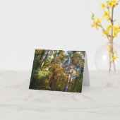 De bos Zonneschijn van de Herfst van de Kaart van (Gele Bloem)