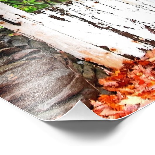 De bosdeur foto afdruk (Hoek)