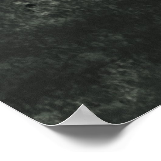 De bosfairies poster (Hoek)