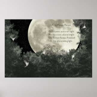 De bosfairies poster