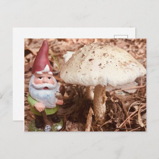 De boskabouter briefkaart (Voorkant / Achterkant)