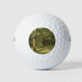 De bosreiniging (Woodland Landscape Scene) Golfballen