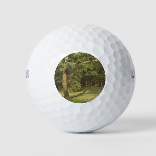 De bosreiniging (Woodland Landscape Scene) Golfballen (Voorkant)