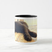 De Boss MOK (Midden)