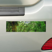De bossen buiten Palas de Rey Bumpersticker (Op auto)