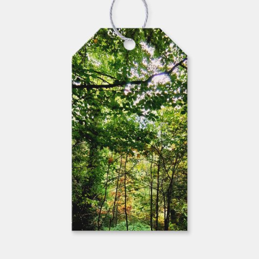 De bossen cadeaulabel (Voorkant)