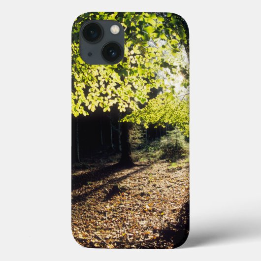 De Bossen in het voorjaar Case-Mate iPhone Case (Achterkant)