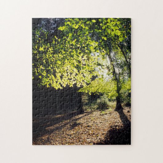 De Bossen in het voorjaar Legpuzzel (Verticaal)