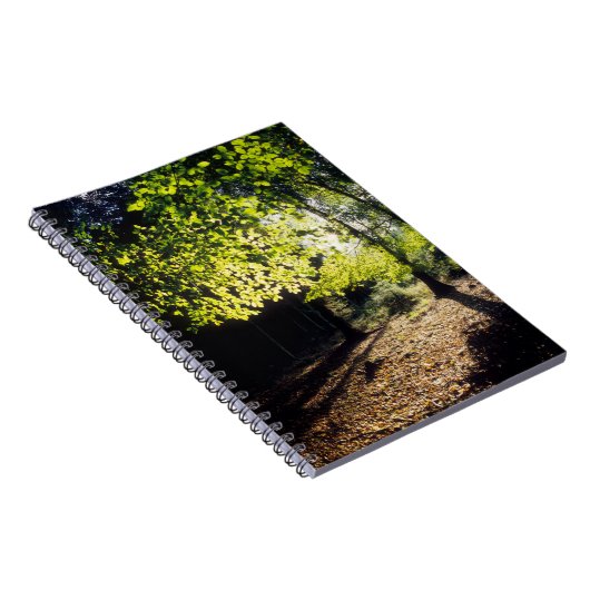 De Bossen in het voorjaar Notitieboek (Rechterzijde)