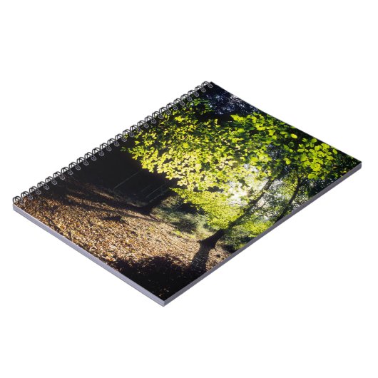 De Bossen in het voorjaar Notitieboek (Linkerzijde)