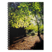 De Bossen in het voorjaar Notitieboek (Voorkant)