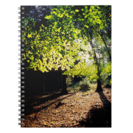 De Bossen in het voorjaar Notitieboek