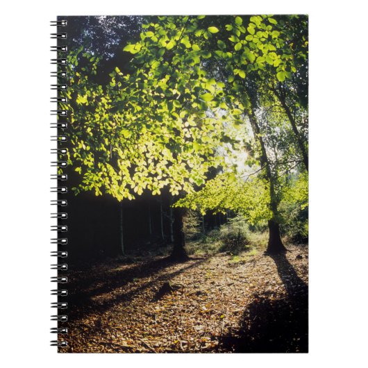 De Bossen in het voorjaar Notitieboek (Voorkant)