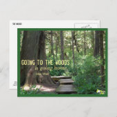 De Bossen (Olympic N.P.) Briefkaart (Voorkant / Achterkant)