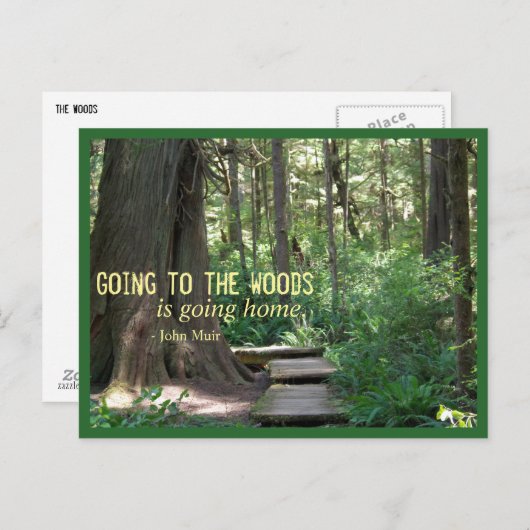 De Bossen (Olympic N.P.) Briefkaart (Voorkant / Achterkant)