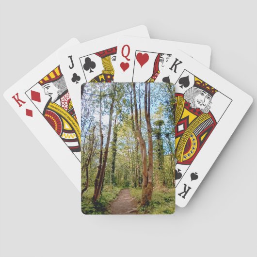 De bossen pokerkaarten (Achterkant)