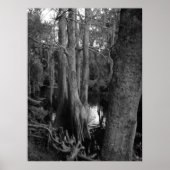 De Bossen Poster (Voorkant)