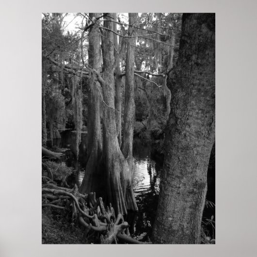 De Bossen Poster (Voorkant)