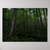 De Bossen Poster (Voorkant)