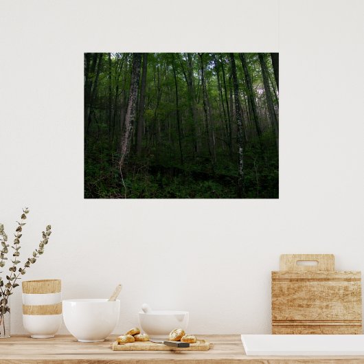 De Bossen Poster (Keuken)