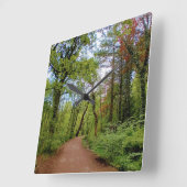 De bossen vierkante klok (Hoek)