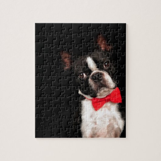 De Boston Legpuzzel (Verticaal)