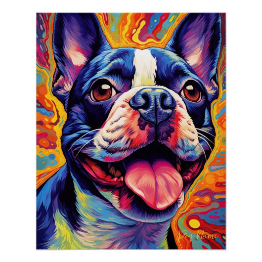 De Boston Terrier Dog 004 - Zetton Ziana Perfect Poster (Voorkant)