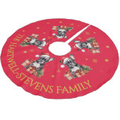 De Boston Terrier draagt een Pet Kerstboom Rok (Gekanteld)