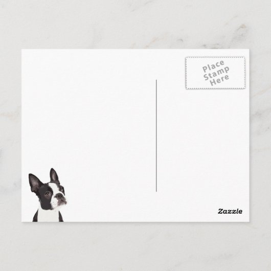 De Boston Terrier in het Space Briefkaart (Achterkant)