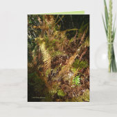 De BosVloer van de herfst Kaart (Voorkant)