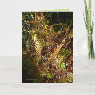 De BosVloer van de herfst Kaart