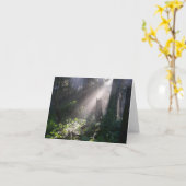 De boszonneschijn van Gabriola Kaart (Gele Bloem)