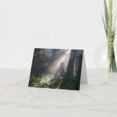 De boszonneschijn van Gabriola Kaart (Voorkant)