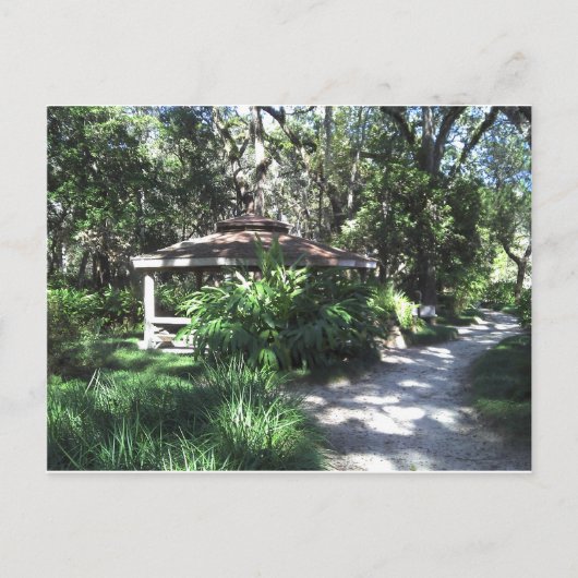 De Botanische Tuin van Florida Briefkaart (Voorkant)