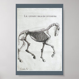 De botten van een paard poster