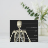 De botten van het bovenlichaam briefkaart (Staand voorkant)