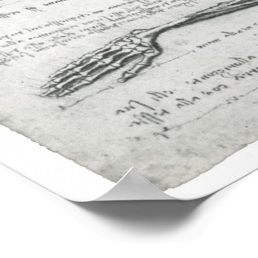 De bovenbouw, Leonardo da Vinci Poster (Hoek)